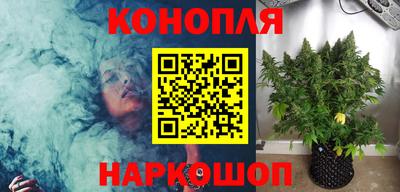 молекула духа Шебекино